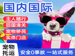 韶关丹霞机场托运国际宠物托运 【国